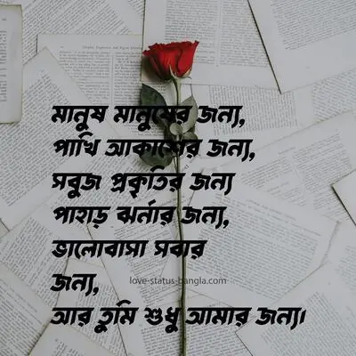 love caption bangla 