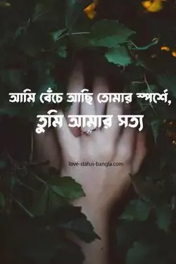 facebook love status bangla