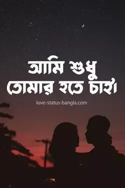 লাভ স্টেটাস বাংলা