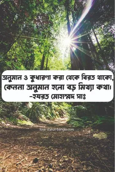 বিখ্যাত উক্তি - Bangla Famous Quotes