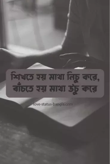 বিখ্যাত উক্তি - Bangla Famous Quotes